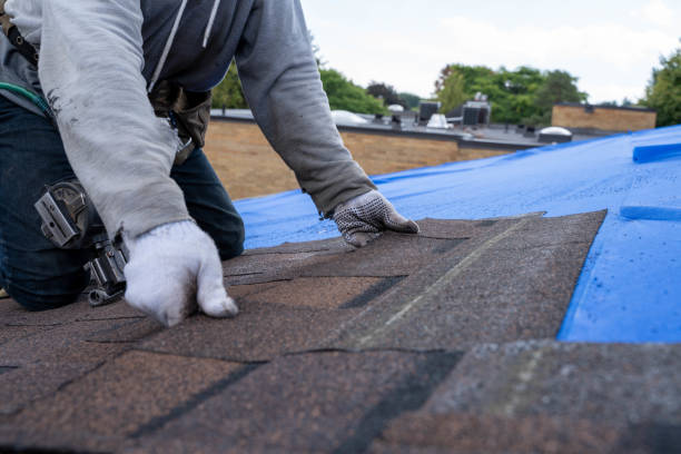 Roof Waterproofing Services in Casa De Oro Mount Helix, CA